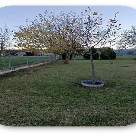 Iliospitotrikala טריקלה