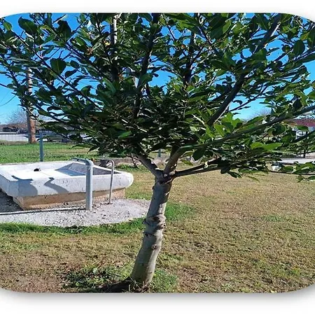 Iliospitotrikala * טריקלה