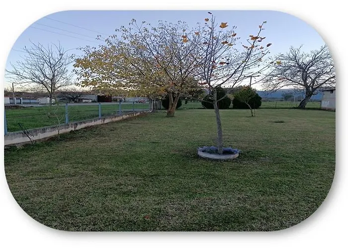 Iliospitotrikala Tríkala