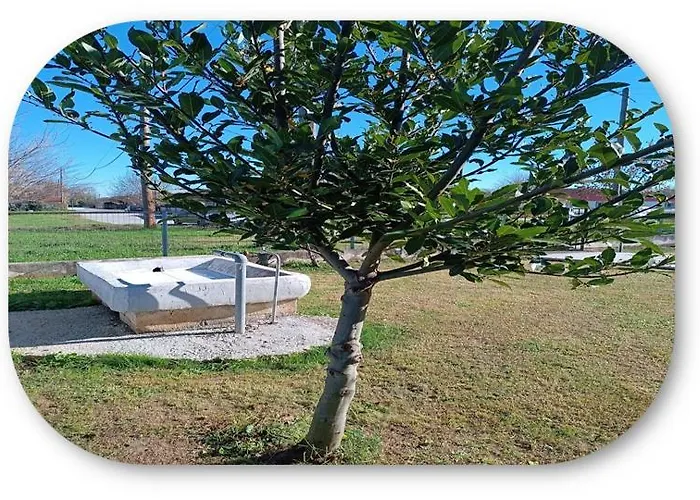 Iliospitotrikala * Tríkala